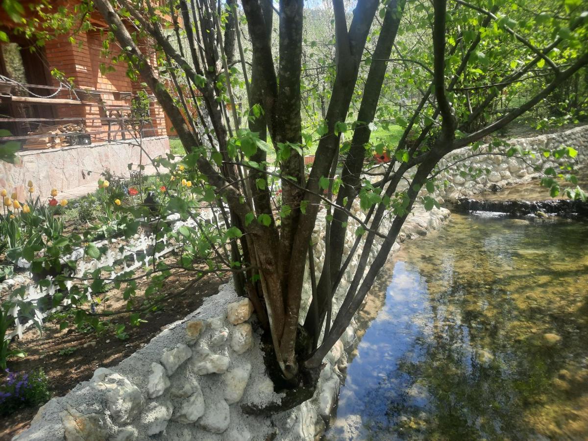 Live Nature Bihać Exterior foto
